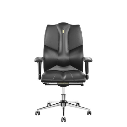 Ergonomiczny fotel Business Black - Black 0201 - Bez szwu - 24 kg